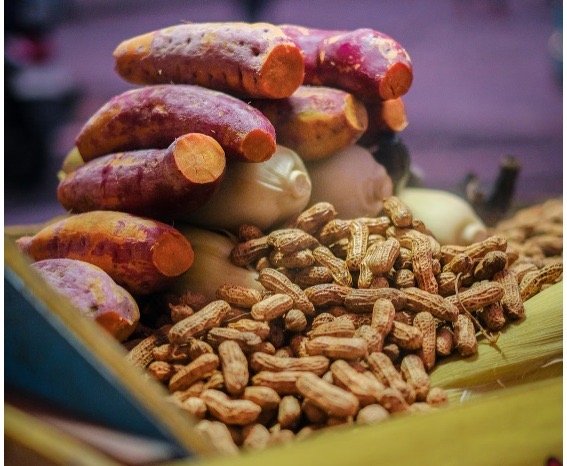 Aneka Kukusan